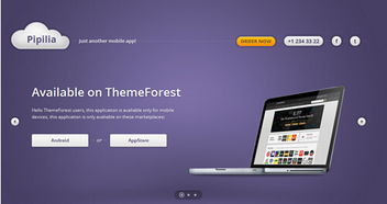 简约时尚的网页设计，为品牌注入高效营销理念